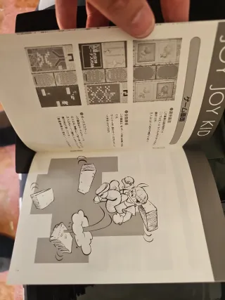 Neogeo Joyjoy Kid SNK