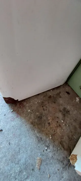 Lavadora de carga frontal