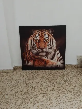 Cuadro Lienzo Tigre Naranja y Negro