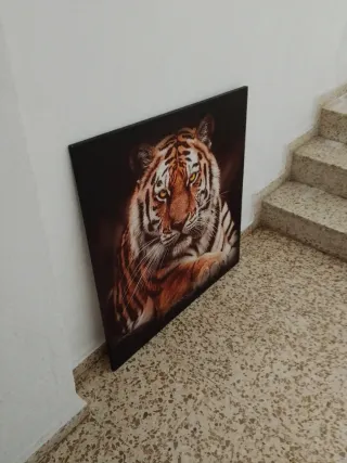 Cuadro Lienzo Tigre Naranja y Negro
