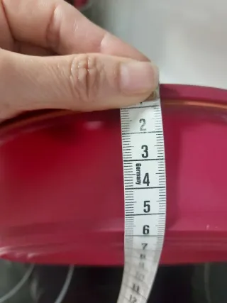 Pack 2 moldes silicona horno