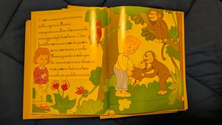 libri alfabeto degli animali  Hachette 25 pezzi