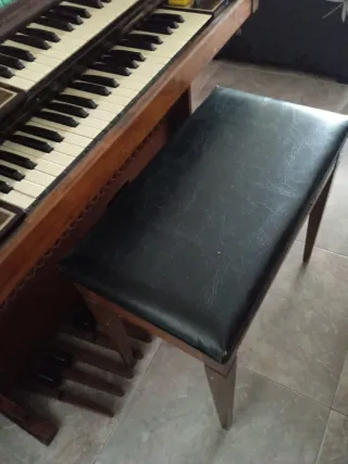 Órgano Thomas Californiana 294 DELUXE