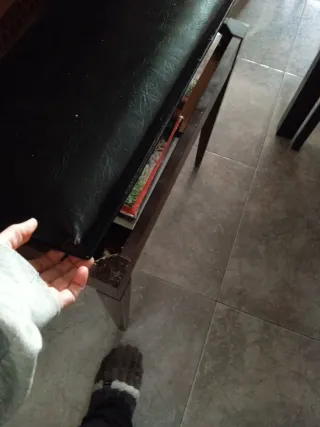 Órgano Thomas Californiana 294 DELUXE