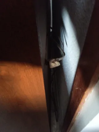 Órgano Thomas Californiana 294 DELUXE