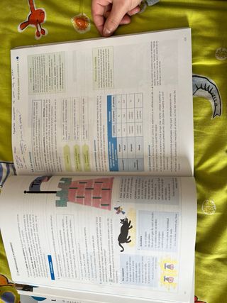 Lengua y Literatura 1 bachillerato