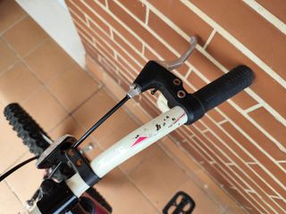 Bicicleta BH California Monster Rosa