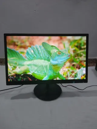 Monitor Philips 244E5Q Negro