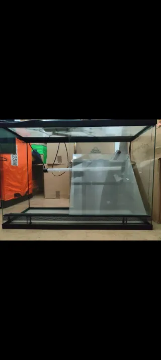 Terrario in vetro con illuminazione