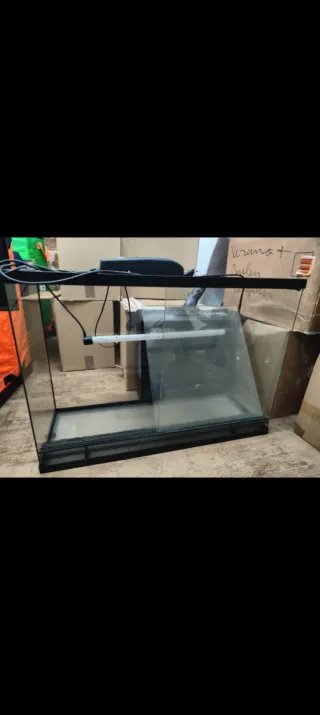 Terrario in vetro con illuminazione