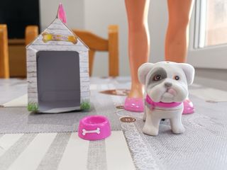 Nancy y su perro con accesorios