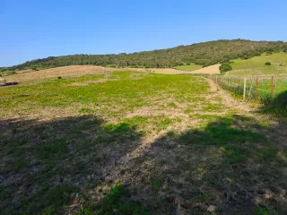 Parcela segregada en caña ancha