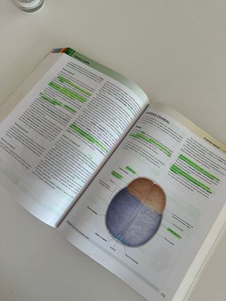 Gray Anatomia para Estudiantes