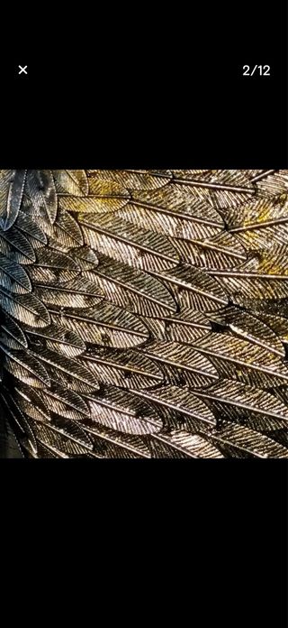 Alas de Ángel de Metal Decorativas