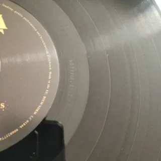 Greta Van Fleet - From The Fires LP