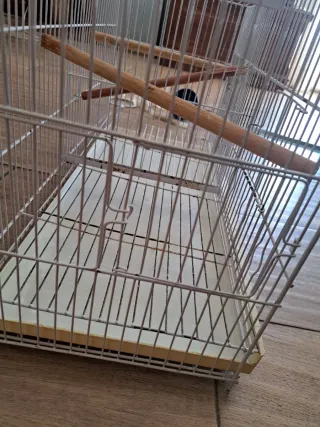 Jaula para pájaros blanca