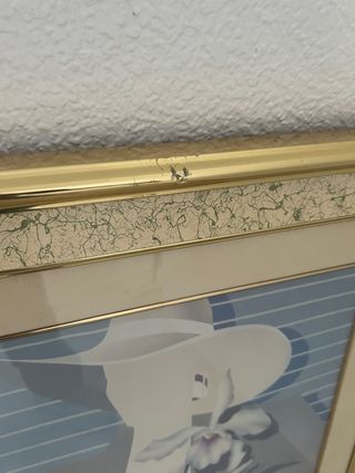 Juego de 2 cuadros decorativos dorados