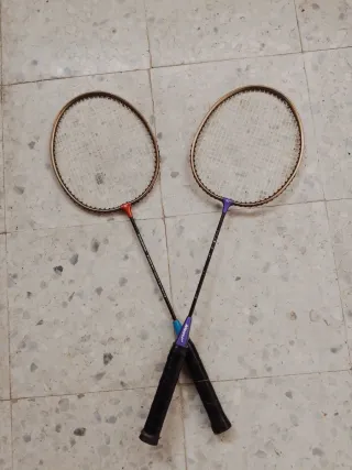 2 Palas de Bádminton