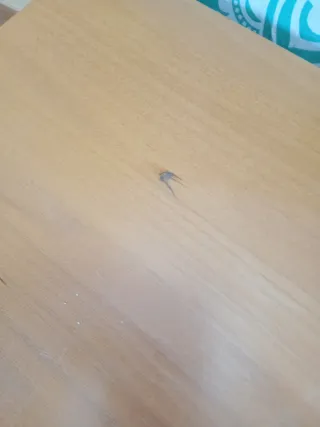 Mesa auxiliar para TV