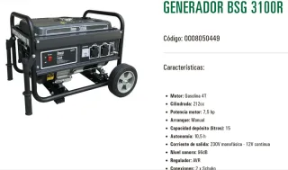 Generador Eléctrico BSG 3100R Gasolina