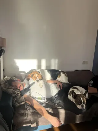 Cuidador de perros / Dog sitter