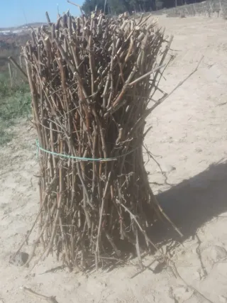Gavillas de leña