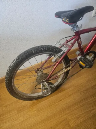 Bicicleta infantil Decathlon 20 pulgadas