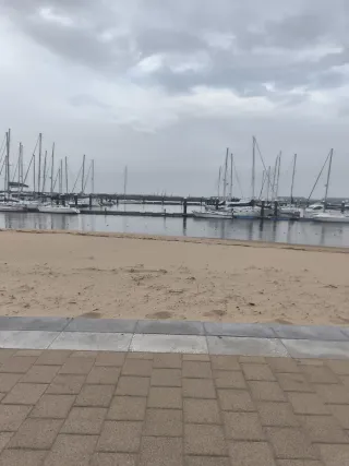 Se alquila habitación desde el primero de abril .