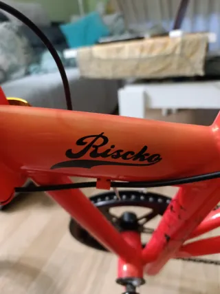 Bicicleta plegable ligera