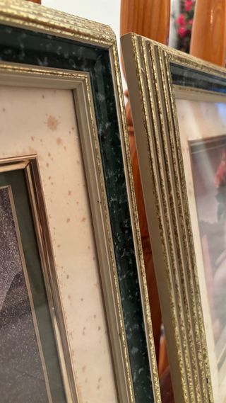 2 Quadri Decorativi Floreali