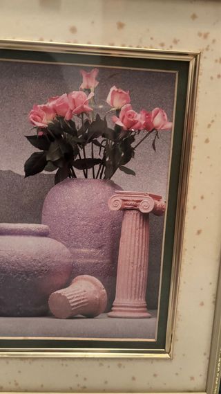 2 Quadri Decorativi Floreali