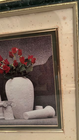 2 Quadri Decorativi Floreali