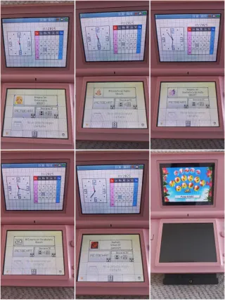 Nintendo DS Rosa con 11 juegos