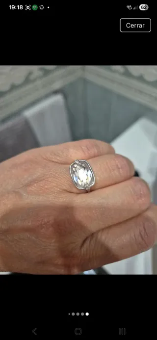 Conjunto de plata Viceroy