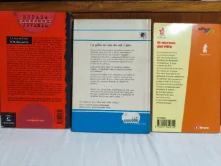 Lote 12 Libros Infantiles