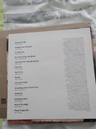 Doble LP Bryan Adams So Far So Good