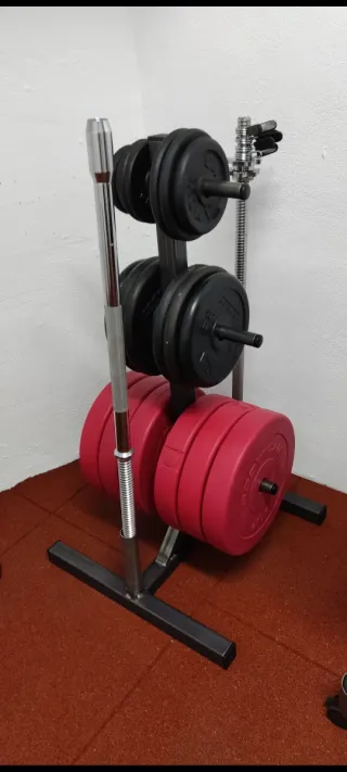 Disco de pesa 10 kg con recubrimiento de plástico