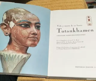 Tutankhamen, de C. Desroches Noblecourt