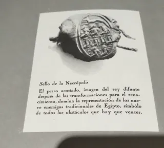 Tutankhamen, de C. Desroches Noblecourt