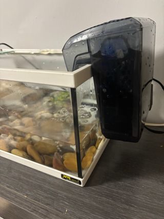 Tortuguero de cristal se puede poner filtro