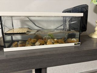 Tortuguero de cristal se puede poner filtro