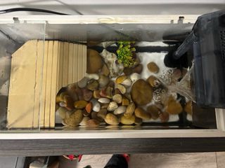 Tortuguero de cristal se puede poner filtro