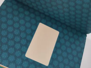 Cuaderno Eevee Pokémon Natural History Museum