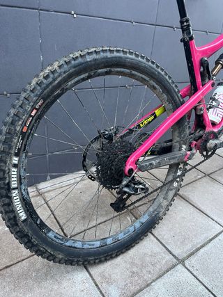 Santa Cruz Bronson C