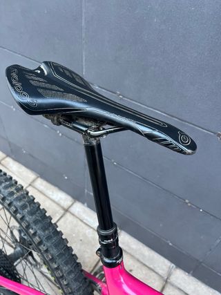 Santa Cruz Bronson C