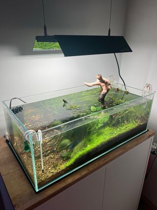 Acuario Kyroscape completo con decoración.