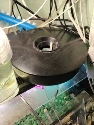 Artemiero para acuario