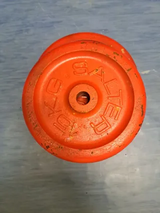 2 Discos de Pesas Salter 15 kg
