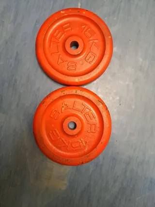 2 Discos de Pesas Salter 15 kg