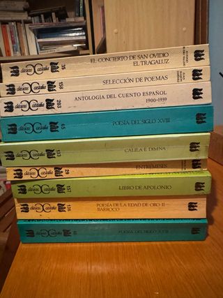 Lote de libros Clásicos Castalia – literatura espa